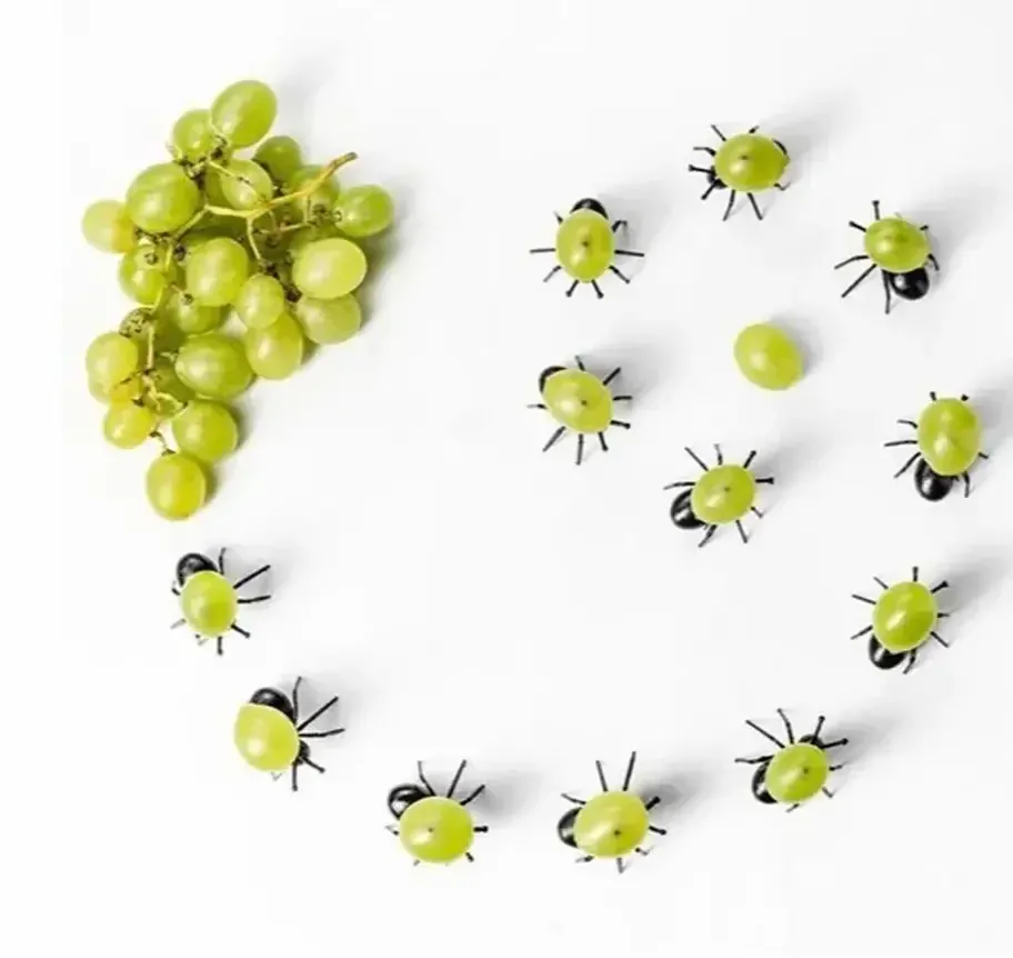 Napichovátka - MRAVENCI - 12 ks